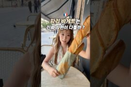 프랑스 바게트는 진짜 특별한지 먹어보고 왔습니다 🇫🇷