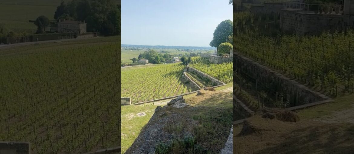 Chateau Ausone in Saint Emilion – Views Across the Terraced Vineyards #bordeaux #dcamw Chateau Ausone in Saint Emilion - Views Across the Terraced Vineyards #bordeaux #dcamw