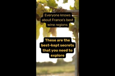 Drink WINE In France! #wine