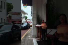 Bardot Restaurant | French Dining in Casco Viejo Panamá