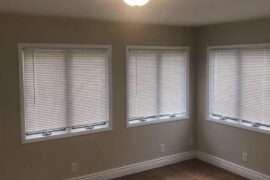 Back room windows