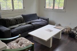 Recommend me a rug for this space?