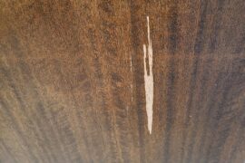 enterance door surface ripped. what to do?