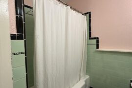 Need help picking a shower curtain for this 1948 art deco bathroom