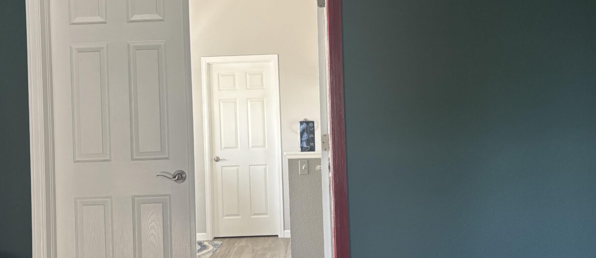 Thoughts on continuing this paint color for the trim/doors?