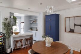 Thoughts on this blue kitchen pantry in this space?