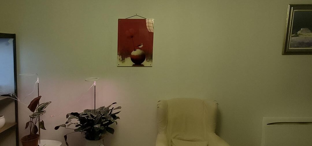 What do you think about my interior ?