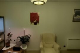 What do you think about my interior ?