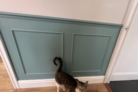 Furniture Colour Suggestions?