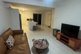 Please help me choose a wall and rug colour