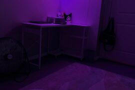 rental friendly suggestions for basement flooring?