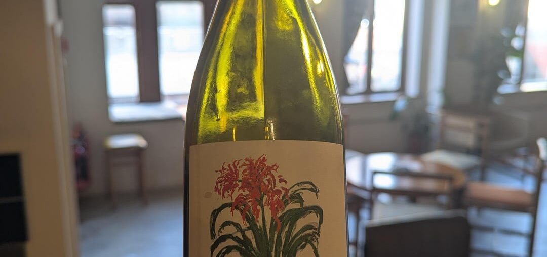 from paris, of love 2024 pinot noir