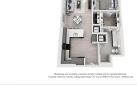 Leased a penthouse blind and need to decorate it before seeing it
