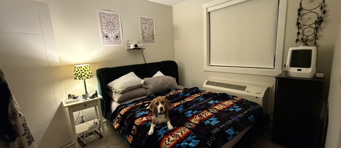 Help decorating my room