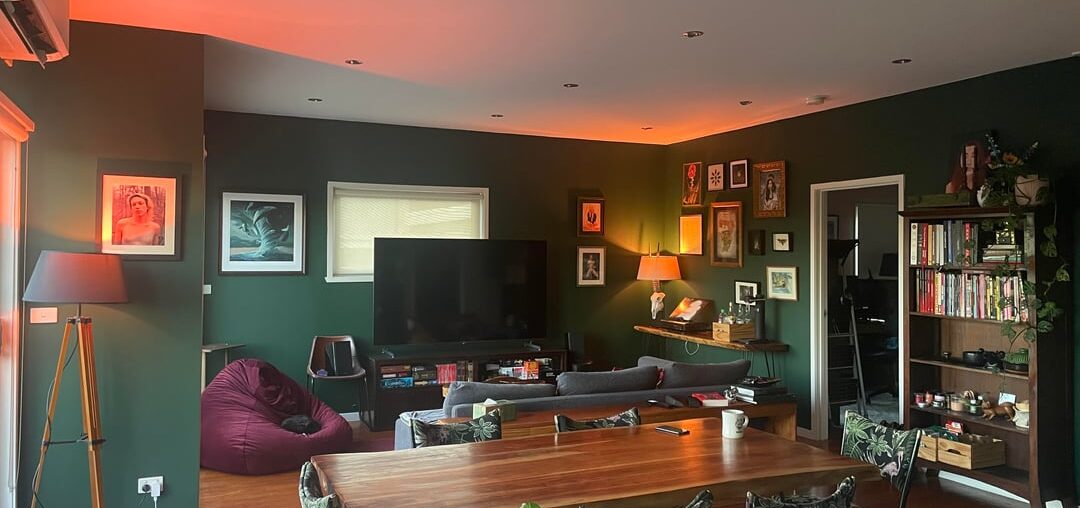 So stoked with how the dark green paint turned out! Feels like I’m living in a treehouse now. +Bonus cat pic
