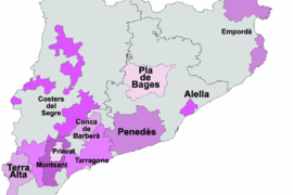Catalonia travel tips?