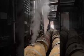 Why French Oak Barrels Make Wine So Expensive 🍷🪵 #shortvideo
