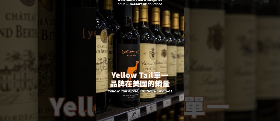 6美元袋鼠酒賣贏整個法國｜#Shorts