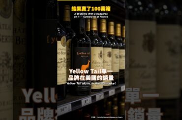 6美元袋鼠酒賣贏整個法國｜#Shorts