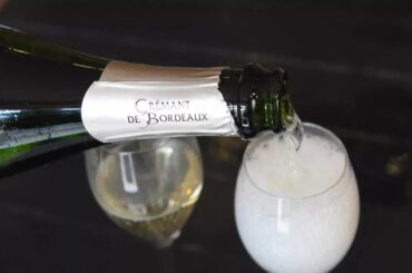 Bordeaux branco?  Tradicional região vinícola francesa se adapta para reagir a crise histórica