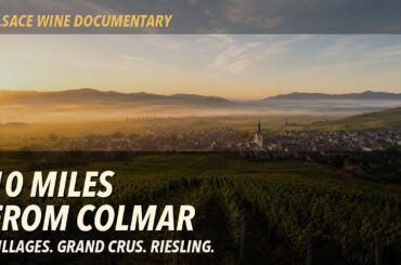 10 Miles from Colmar: The Greatest Concentration of Wine on Earth?