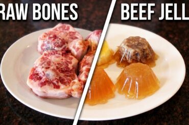 Carnivore Jello Jigglers? (Aspic, Oeuf en Gelee, Boeuf en Gelee)