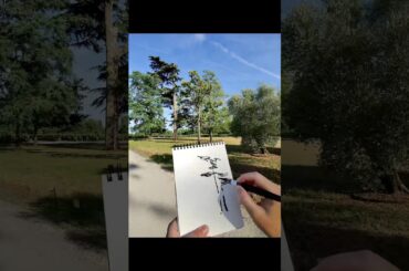Drawing landscapes of #margaux Château du Tertre 🍷🎨