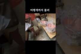 파리 레스토랑 셰프들의 단골 냄비가게 #미국생활 #파리여행 #파스타팬