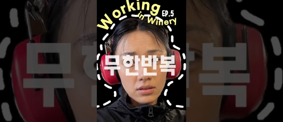 프랑스 와이너리 인턴, 사고 쳤습니다