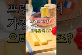 프랑스에서 꼭 먹어봐야 하는 치즈