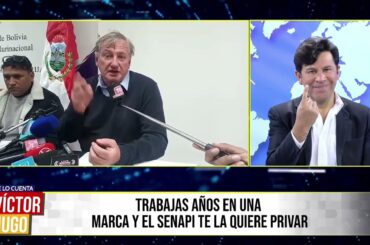 SENAPI ESPANTA LA INVERSIÓN:  EMPRESARIO FRANCÉS DENUNCIA QUE LE QUITARON SU MARCA DE VINOS