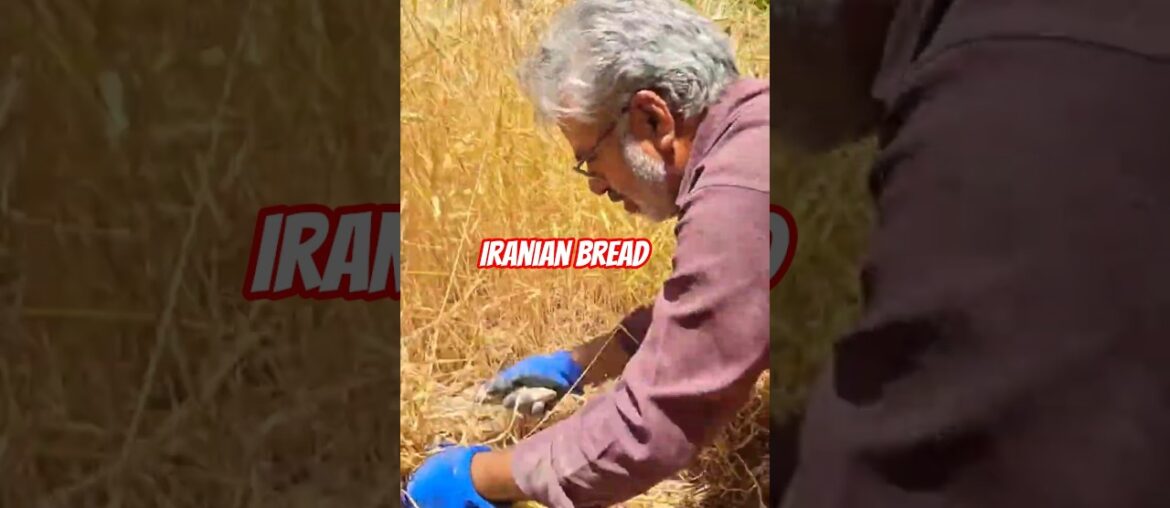 Baking Barbara  bread in the 50 degree heat of Iran#iran #shortvideo