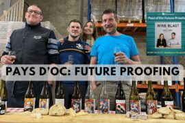 Pays d'Oc Part 2 - Future Proofing, Wine Blast podcast with Susie & Peter #wine