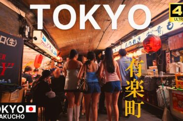 Tokyo's Hidden World Beneath the Train Tracks | Yurakucho, Japan