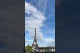 Girafe, Paris France 🇫🇷