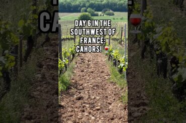 Day 6 in the Southwest of France: Cahors!