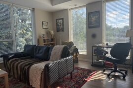 Would a room divider work behind the couch?