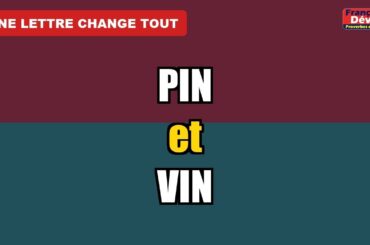 Pin ou Vin : quelle différence ?