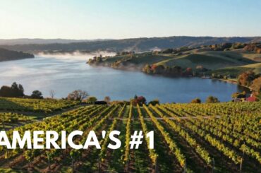 Why Americas Best Wine Region Was Ignored for 200 Years