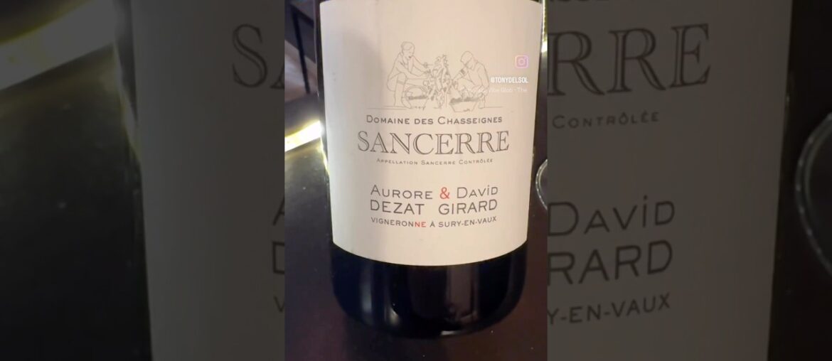 Sancerre Rouge Aurore Dezat David Girard France 🇫🇷 #wine # #review # #winelover #sommelier