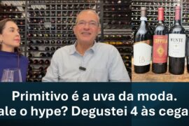 Primitivo é a uva da moda. Vale o hype? Degustei 4 vinhos às cegas.