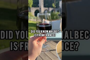 Did You Know Malbec is From France?!
