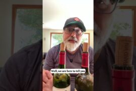 Costco’s Kirkland Signature Bordeaux Shouldn’t Be This Good #podcast #wine #costcofinds