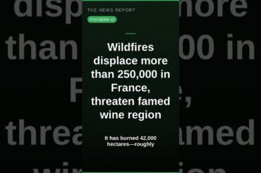 250K Displaced as French Wildfire Threatens Bordeaux #Shorts