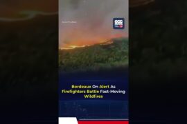 France Wildfires Threaten Bordeaux As 220,000 Evacuated Amid Heatwave