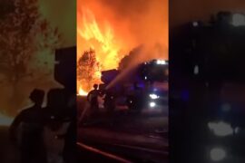 300,000 evacuate as wildfires devastate Spain and France
