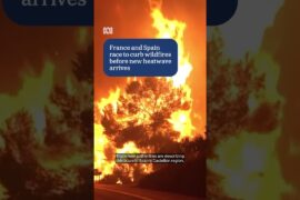 France and Spain race to curb wildfires before new heatwave | ABC NEWS