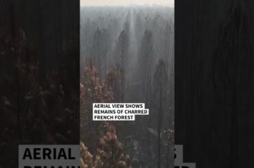Aerial view shows remains of charred French forest | AFP