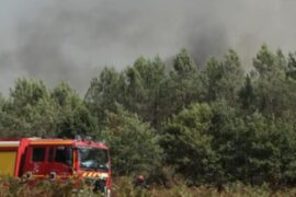 French wildfires threatening wine production in Bordeaux