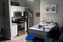 My 1B1B, Texas apartment